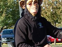 DSC 0032- web